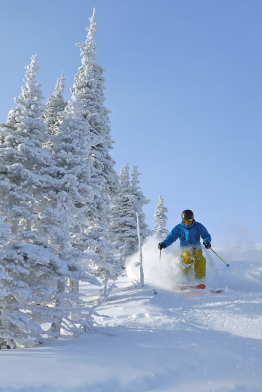 Blue Bird, Castle Mountain Resort