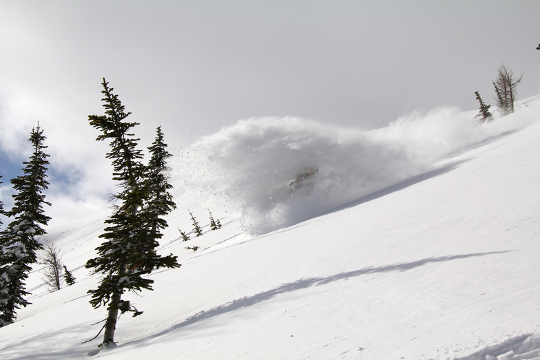 Cold Smoke, Castle Mountain Resort