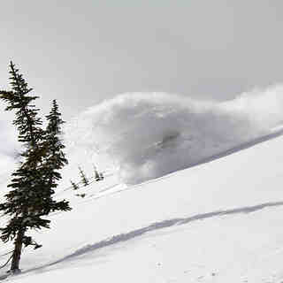 Cold Smoke, Castle Mountain Resort