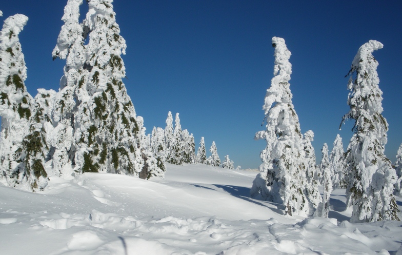 Snow Ghosts, Cypress Mountain