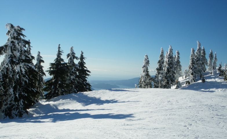 View from the Peak, Cypress Mountain