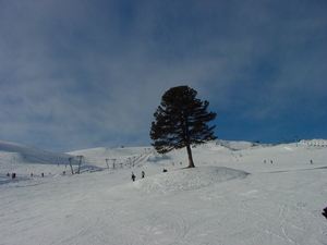 Hochzillertal Kaltenbach, Hochzillertal-Kaltenbach photo