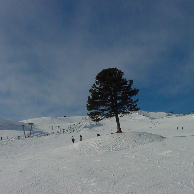 Hochzillertal Kaltenbach, Hochzillertal-Kaltenbach