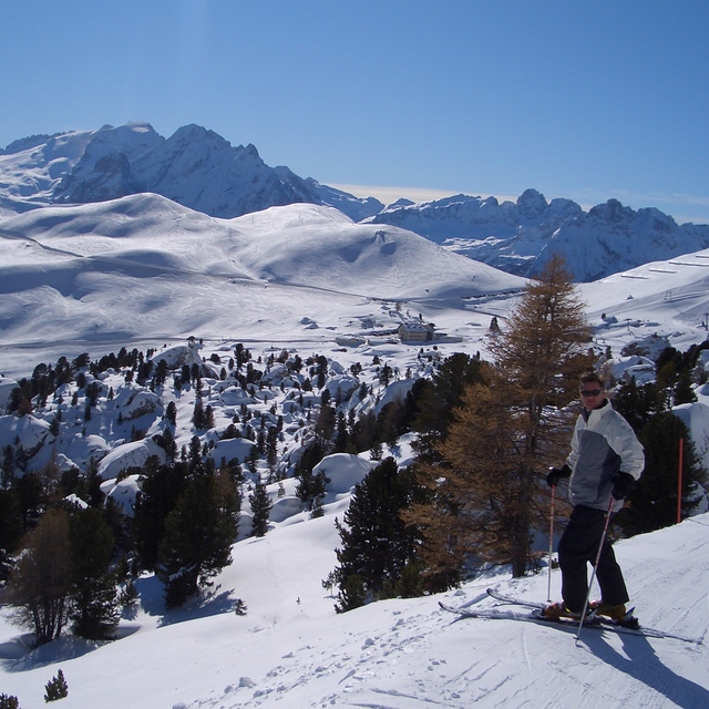 Val Gardena, Selva