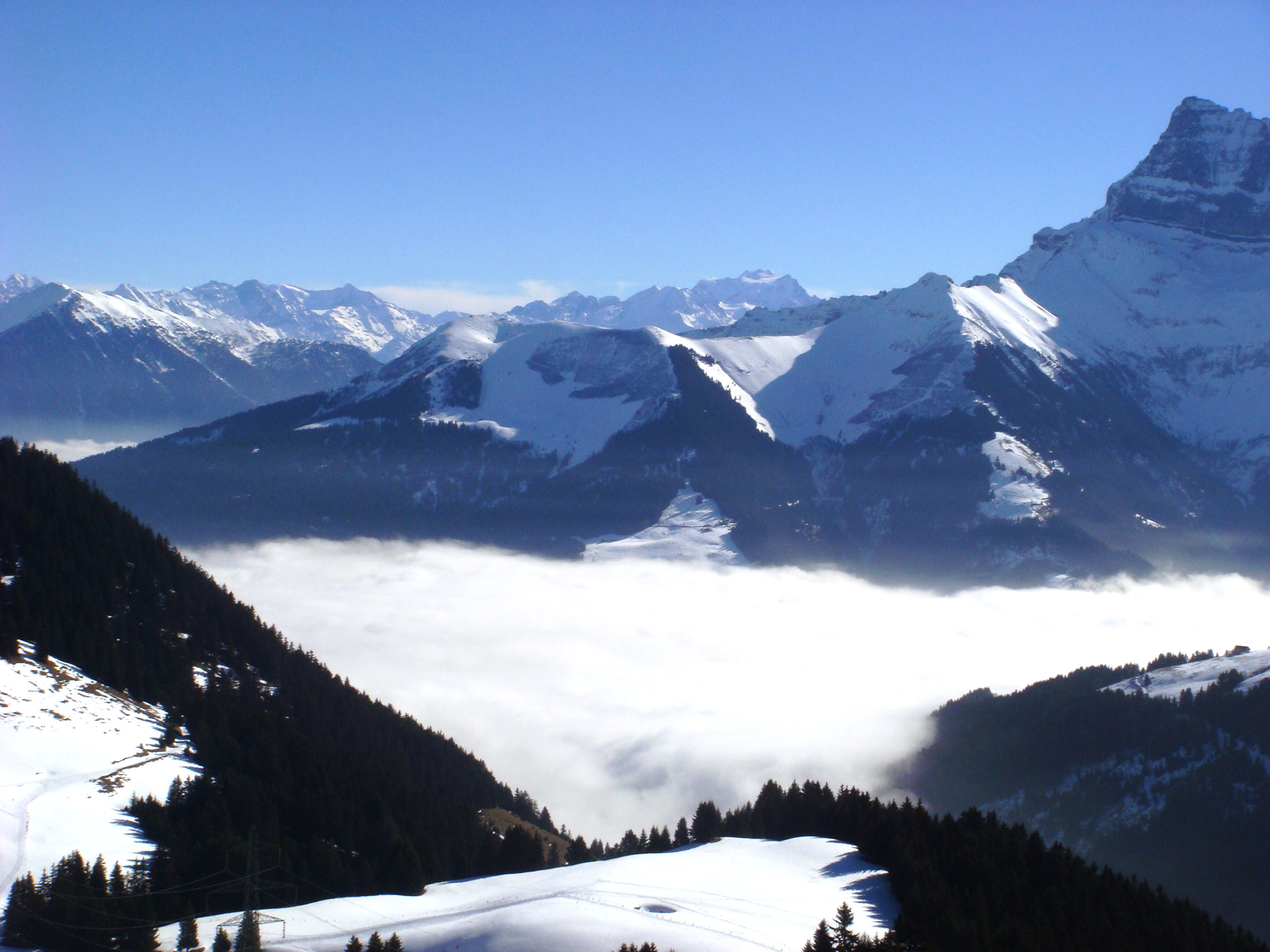 Blue morning mist in paradise, Chatel