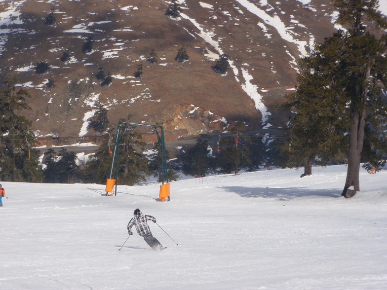 Skiing at Vasilitsa