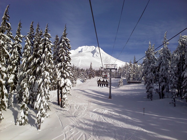 t line, Timberline