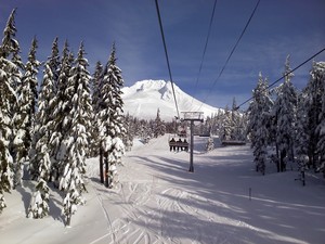 t line, Timberline photo