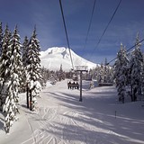 t line, Timberline