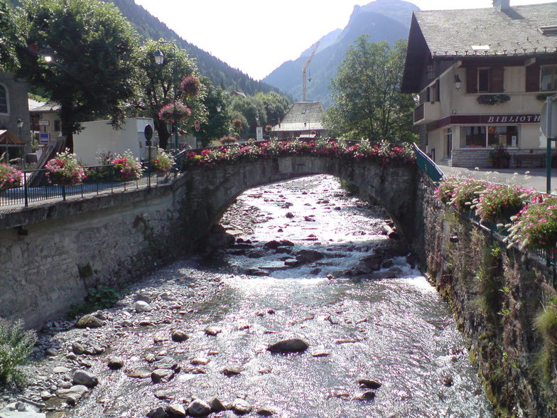 flowers in summer, Morzine