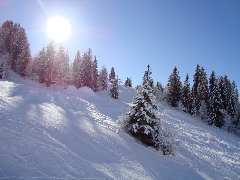 Some fab off piste, Le Grand Bornand