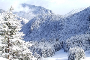 Fresh Snow in Drouzin Le Mont