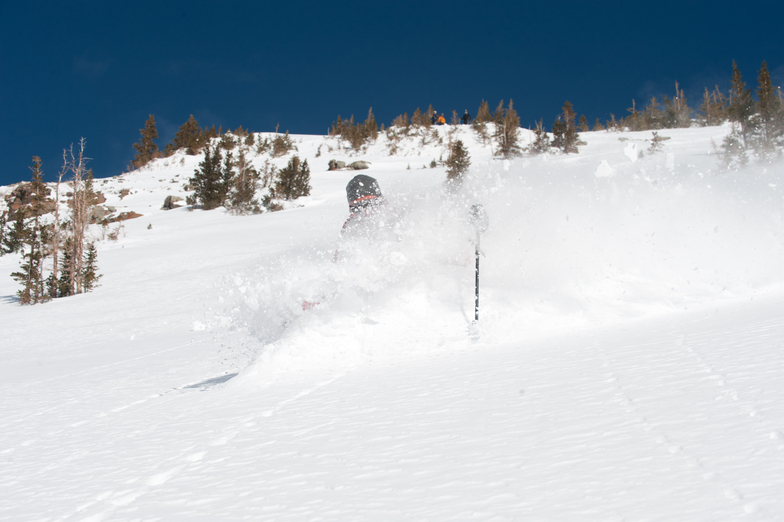 Another Day, Irwin Catskiing by Eleven
