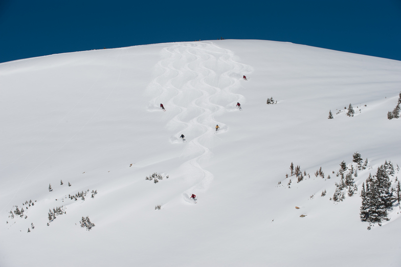 East Barkmarker, Irwin Catskiing by Eleven