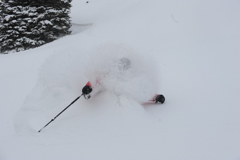 OH Yea!, Irwin Catskiing by Eleven