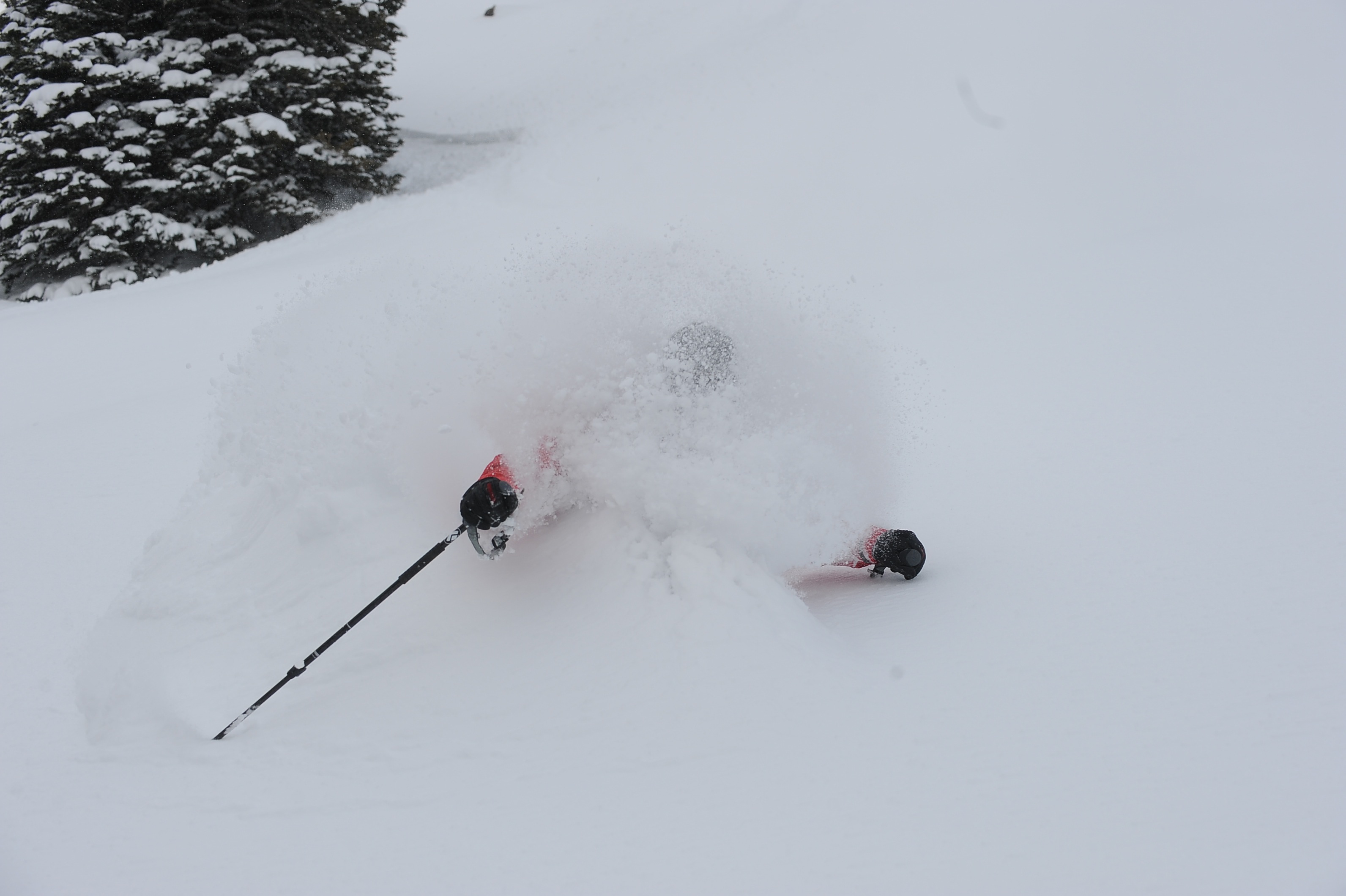 OH Yea!, Irwin Catskiing by Eleven