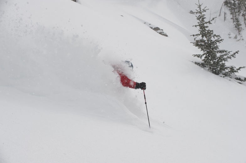 White Room, Irwin Catskiing by Eleven