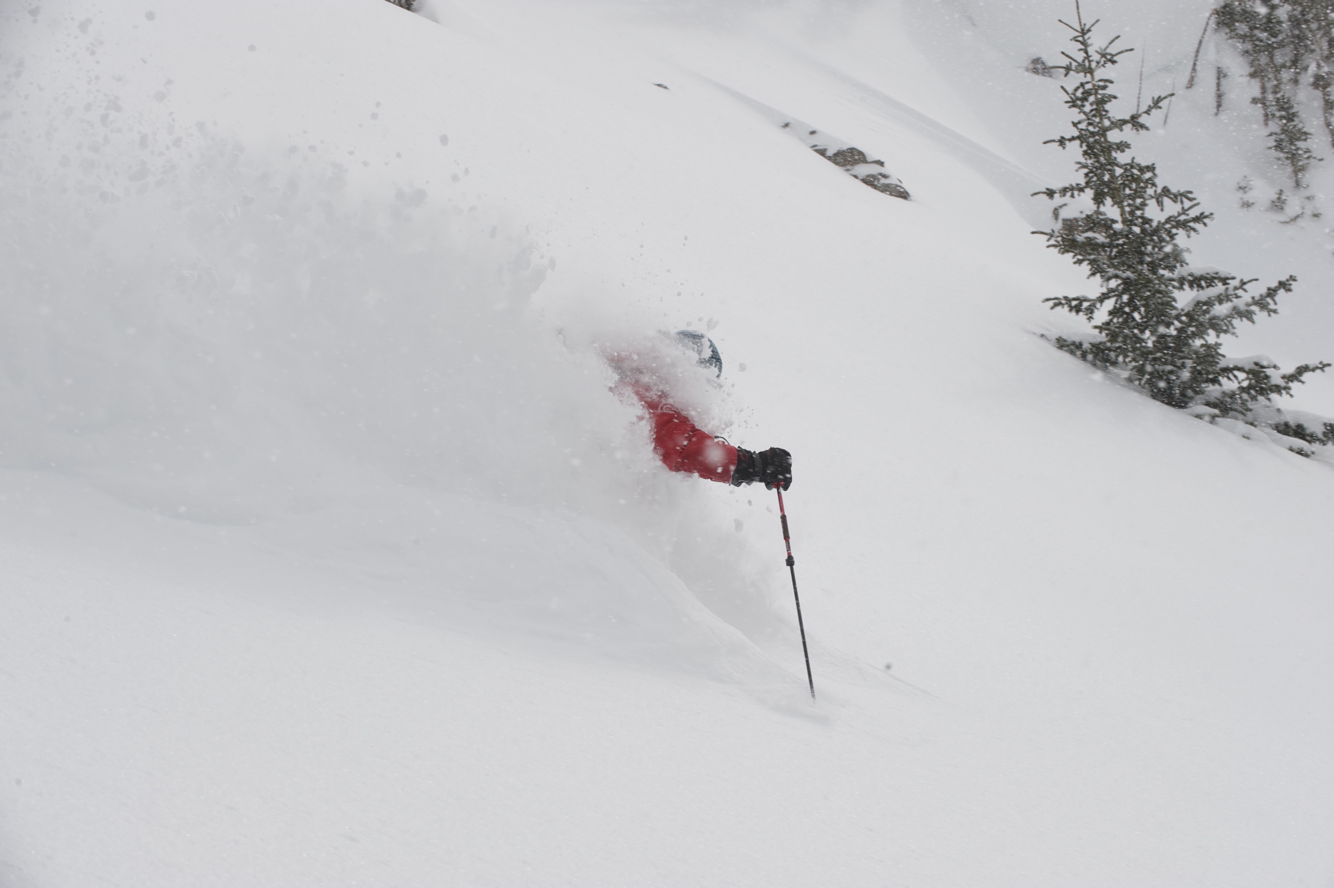 White Room, Irwin Catskiing by Eleven