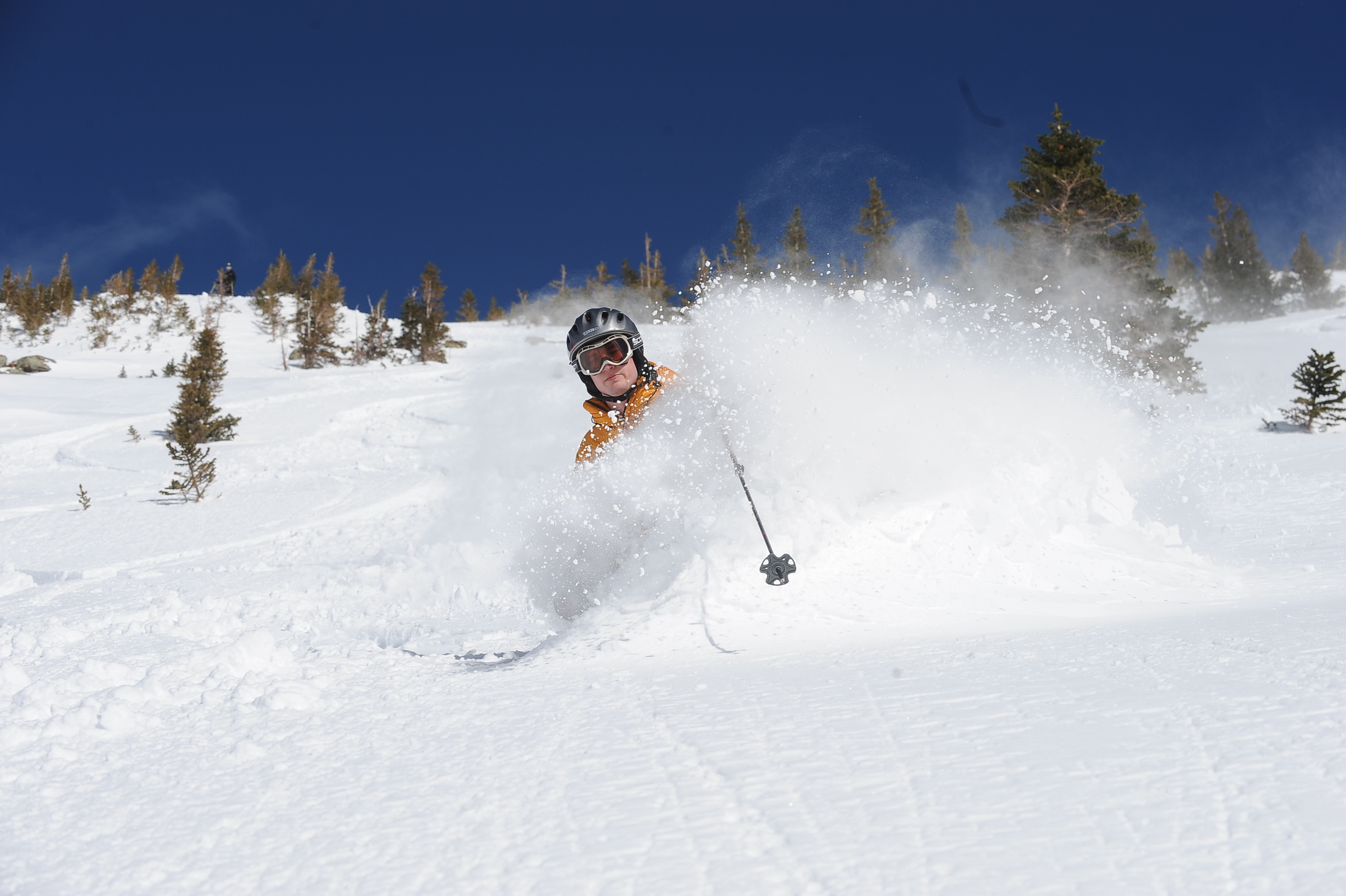 Lovin It!, Irwin Catskiing by Eleven