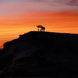 Sunrise on the summit, Tanzania