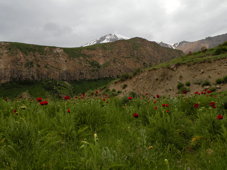 damavand, Mount Damavand