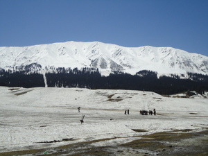 my kashmir, Gulmarg photo