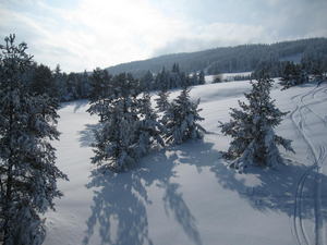 Nature, Kupres photo