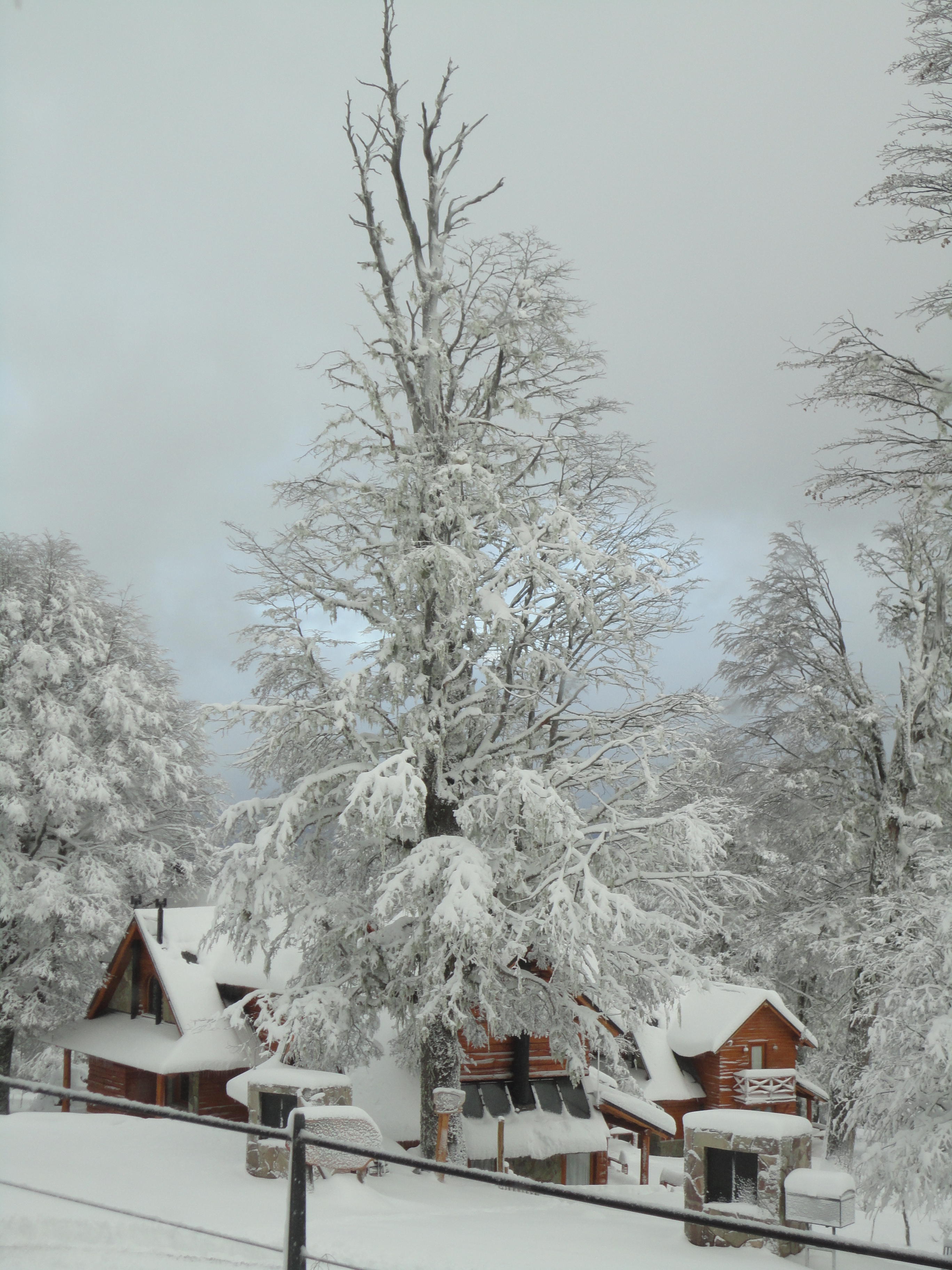 Chapelco