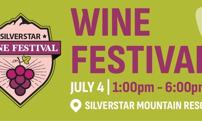SilverStar webcam
