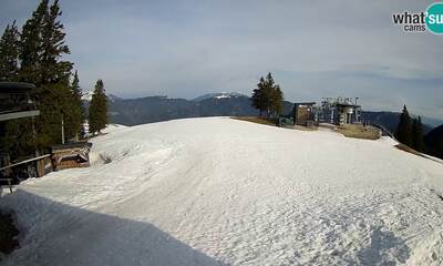 Golte webcam