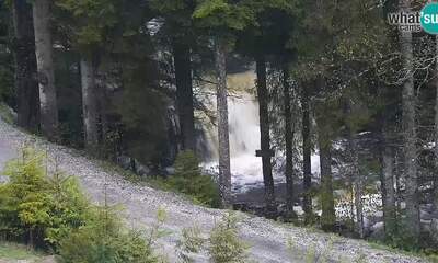 Rogla webcam
