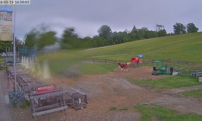 Isny/Felderhalde webcam