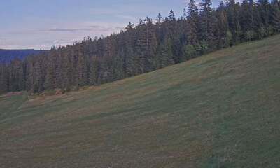 Kaltenbronn webcam