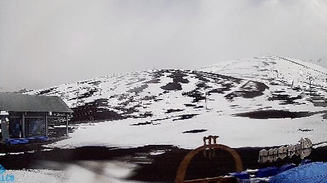 corralco.com