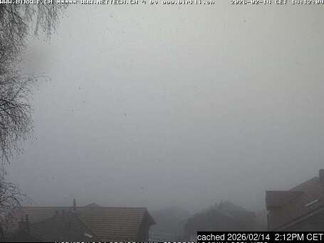 Beatenberg Webcam Showing Current Snow Conditions