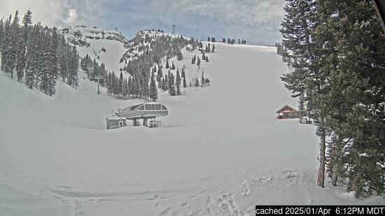 Live Snow webcam for Jackson Hole