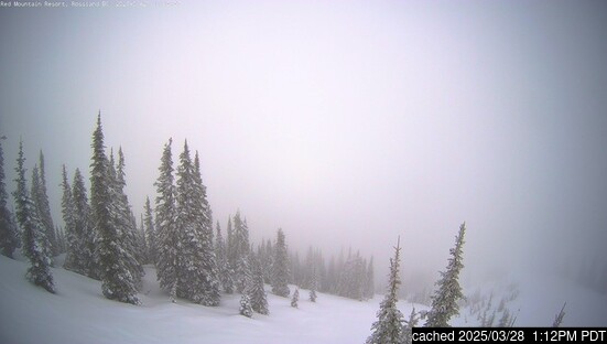 Webcam Live pour Red Mountain Resort