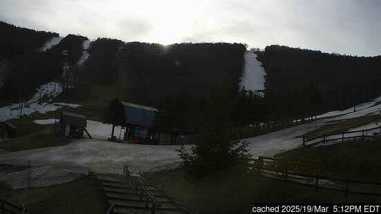 Live Snow webcam for Ski Plattekill