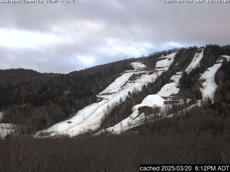 Live webcam per Ski Wentworth se disponibile