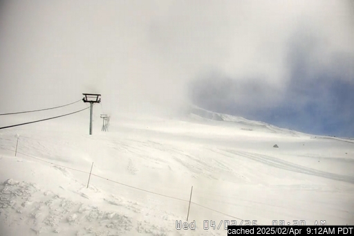 Live webcam para Timberline se disponível