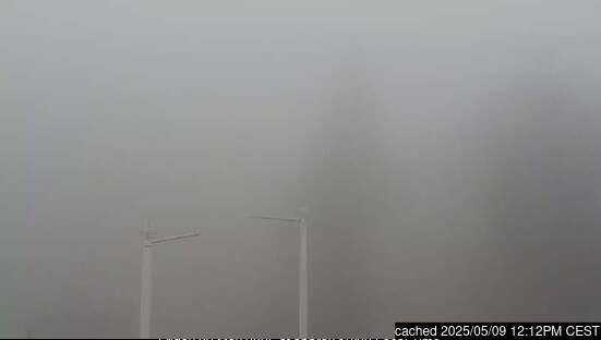 Vogel webcam às 14h de ontem