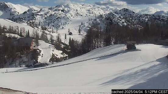 Live Snow webcam for Vogel