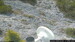 Ehrwald webcam 10 giorni fa