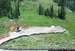 Mt Hood Meadows webkamera před 14 dny