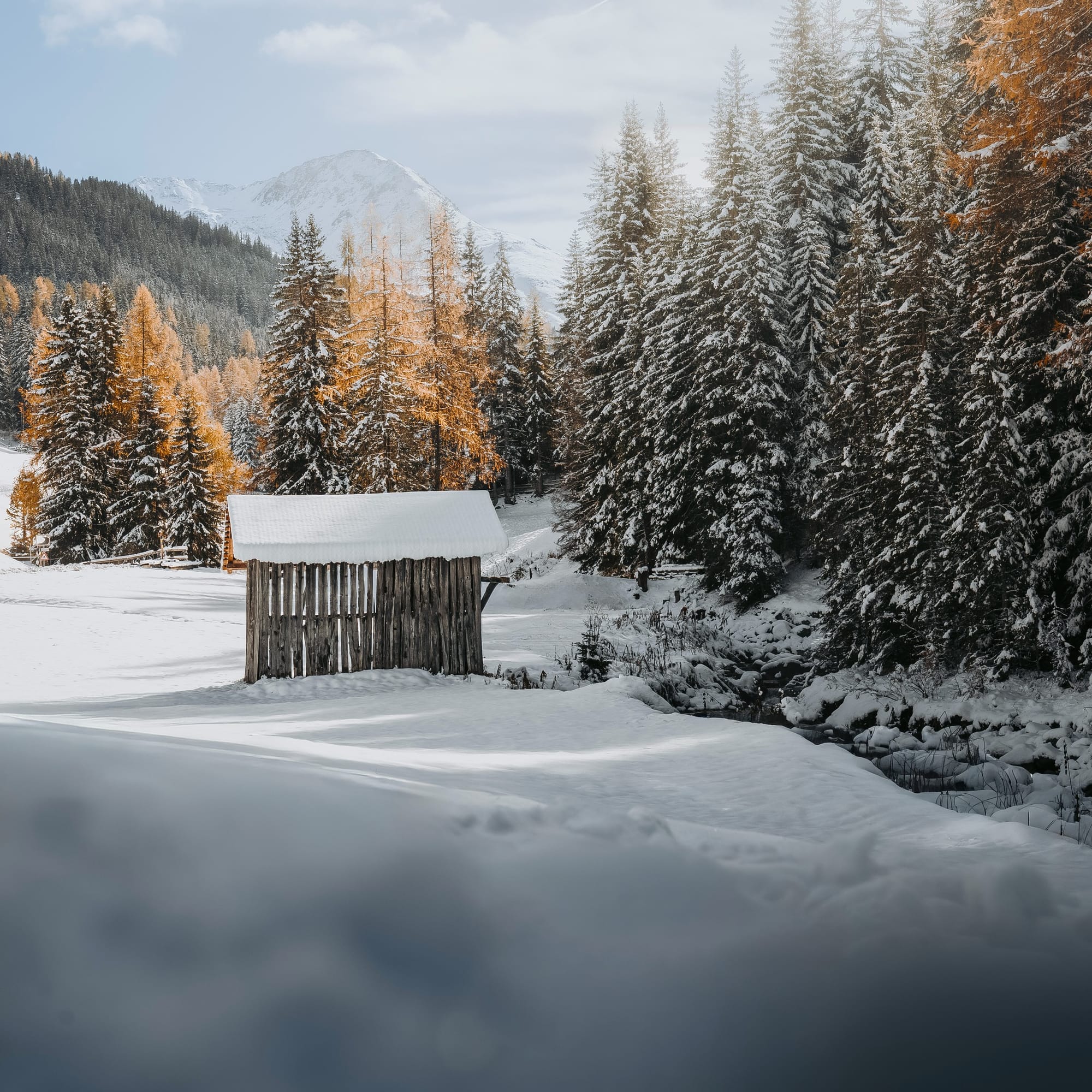 Alpine Classics Davos & Kitzbühel Starting 25-26 Seasons This Weekend