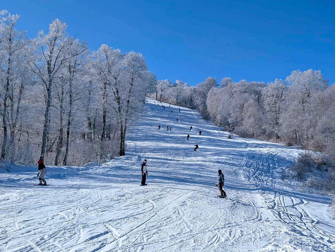 Japan Weekly Snow Roundup #291