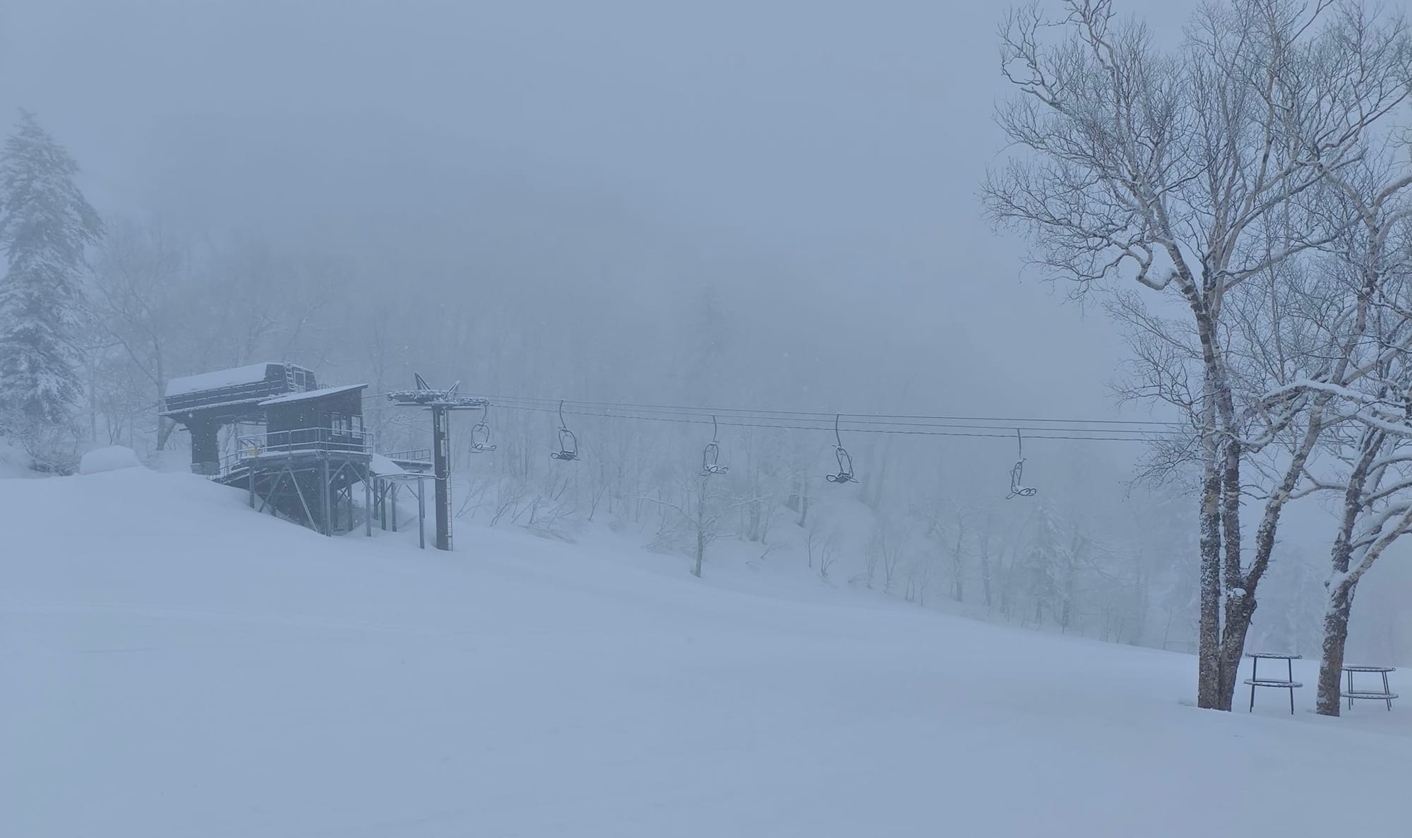 Japan Weekly Snow Roundup #310