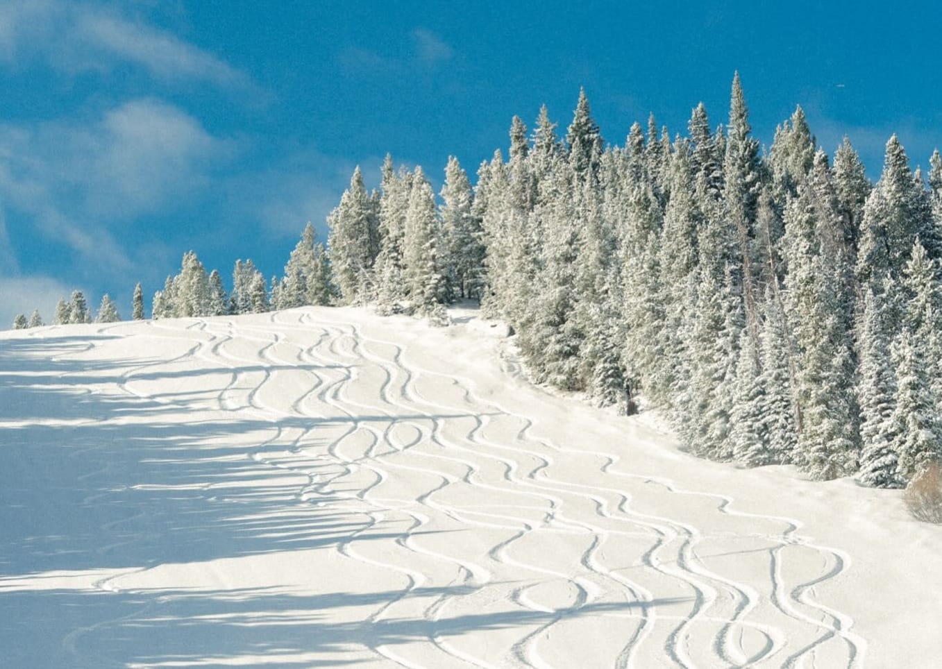 North America Weekly Snow Roundup #309