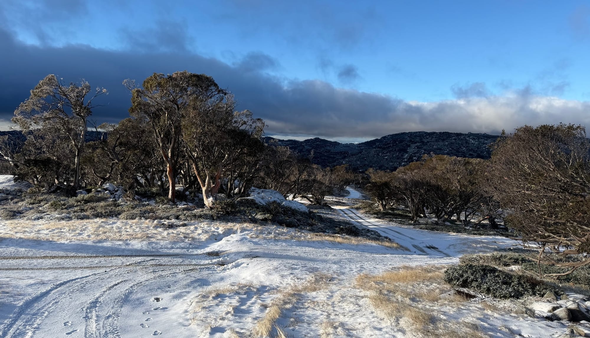 Global Weekly Snow Roundup #313