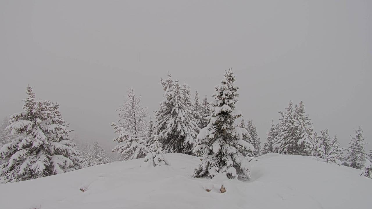 North America Weekly Snow Roundup #318